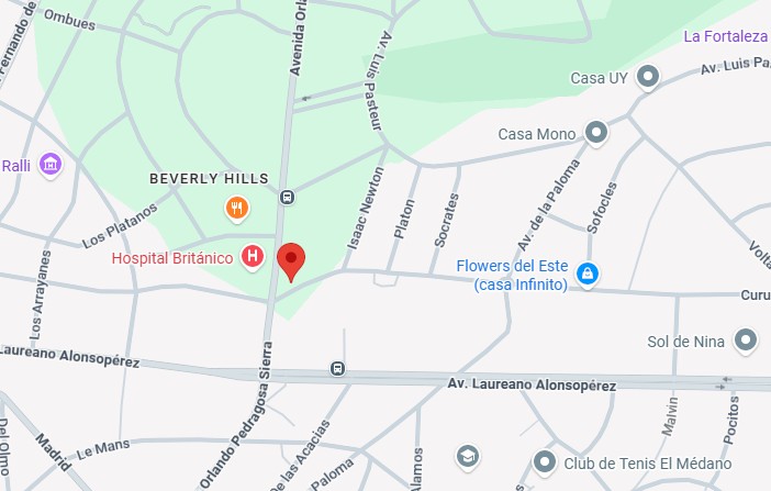 📅 20 OCTUBRE | ⏰ 14:00 – PUNTA DEL ESTE SOLAR DE TERRENO BALDÍO